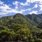 Parque Nacional Cordillera Azul